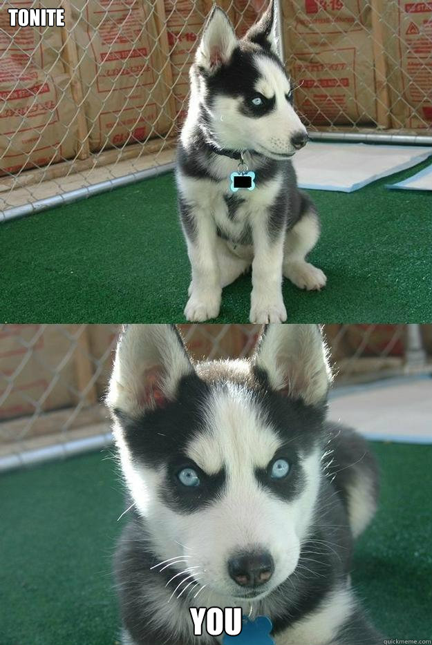 tonite you  Insanity puppy