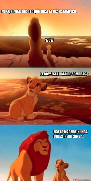 Mira, Simba. Todo lo que toca la luz es Tampico. WOW Pero, y ese lugar de sombras? Eso es Madero. Nunca debes ir ahi Simba!  simba mufasa meme