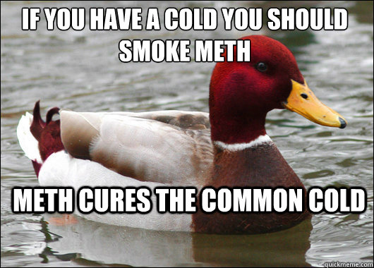 If you have a cold you should smoke meth
 Meth cures the common cold  Malicious Advice Mallard