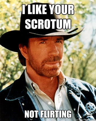 I like your scrotum Not Flirting - I like your scrotum Not Flirting  Realistc Chuck Norris