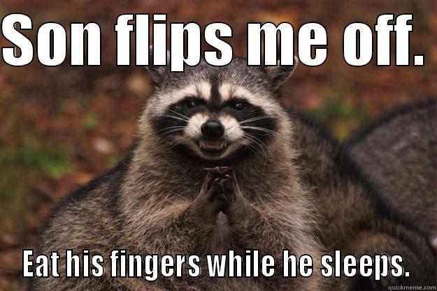 SON FLIPS ME OFF.  EAT HIS FINGERS WHILE HE SLEEPS. Evil Plotting Raccoon