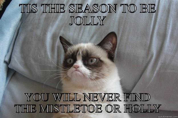 TIS THE SEASON TO BE JOLLY YOU WILL NEVER FIND THE MISTLETOE OR HOLLY Grumpy Cat