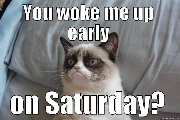 YOU WOKE ME UP EARLY ON SATURDAY? Grumpy Cat