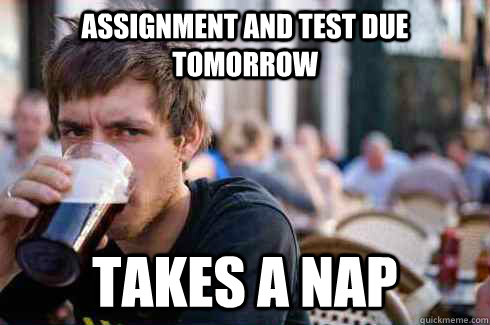 assignment and test due tomorrow takes a nap - assignment and test due tomorrow takes a nap  Lazy Senior