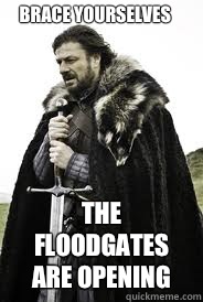 Brace Yourselves The floodgates are opening - Brace Yourselves The floodgates are opening  Misc