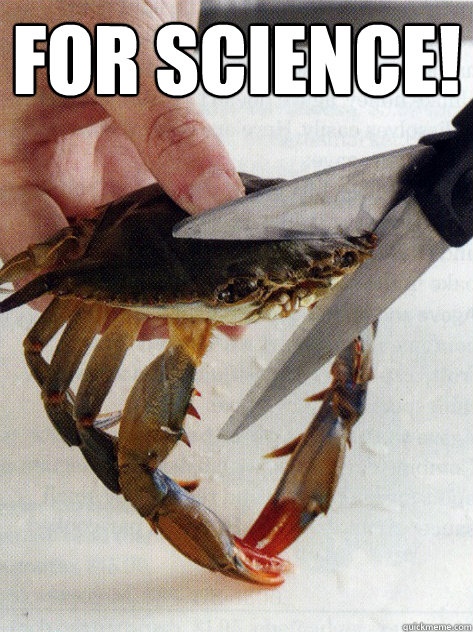 for science!   Optimistic Crab