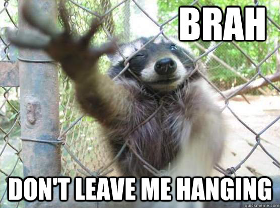 BRah Don't leave me hanging - BRah Don't leave me hanging  Bro Racoon