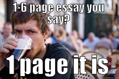 1-6 PAGE ESSAY YOU SAY? 1 PAGE IT IS Lazy College Senior