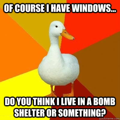 Of course I have windows... DO you think I live in a bomb shelter or something?  Tech Impaired Duck