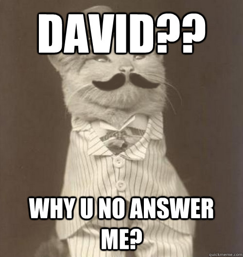 DAVID?? Why U no Answer me? - DAVID?? Why U no Answer me?  Original Business Cat