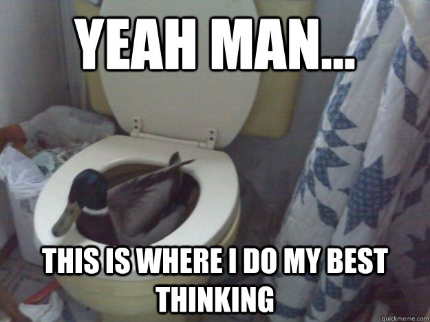 yeah man... this is where i do my best thinking - yeah man... this is where i do my best thinking  Misc