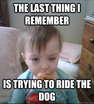 The Last thing I remember Is trying to ride the dog  Hangover Toddler