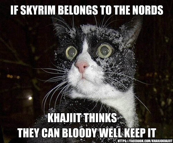if skyrim belongs to the nords they can bloody well keep it https://facebook.com/kharjokhajiit khajiit thinks  skyrim for the nords