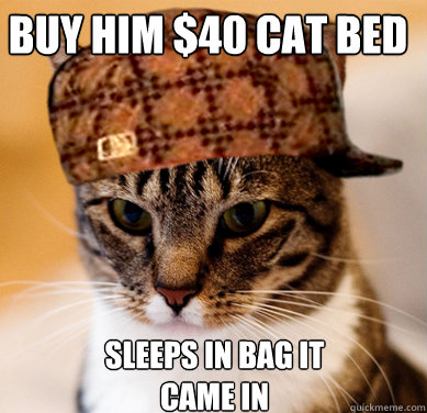 Buy him $40 cat bed sleeps in bag it came in  Scumbag Cat