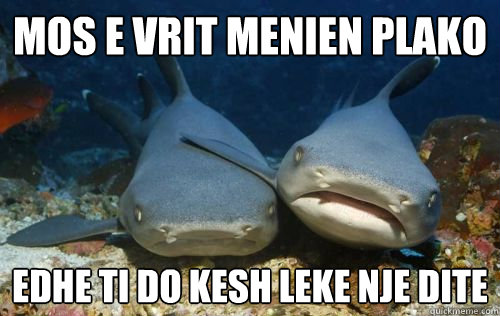 mos e vrit menien plako edhe ti do kesh leke nje dite  Compassionate Shark Friend