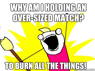 Why am I holding an over-sized match? To burn all the things!  All The Things