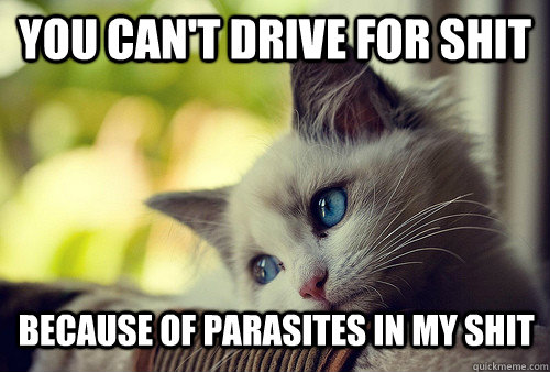 You can't drive for shit because of parasites in my shit  First World Problems Cat