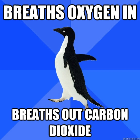 Breaths oxygen in breaths out carbon dioxide  Socially Awkward Penguin