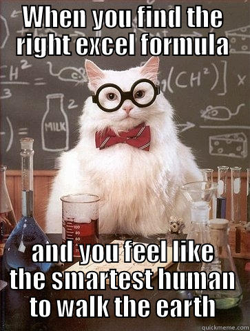 smartest cat - WHEN YOU FIND THE RIGHT EXCEL FORMULA AND YOU FEEL LIKE THE SMARTEST HUMAN TO WALK THE EARTH Chemistry Cat