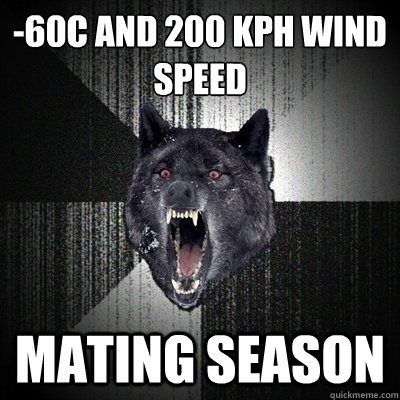 -60ºC and 200 kph wind speed mating season  