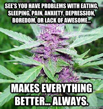 see's you have problems with eating, sleeping, pain, anxiety, depression, boredom, or lack of awesome... Makes everything better... always. - see's you have problems with eating, sleeping, pain, anxiety, depression, boredom, or lack of awesome... Makes everything better... always.  marijuana