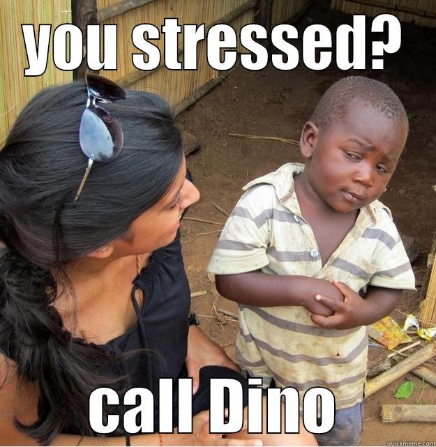 YOU STRESSED? CALL DINO Skeptical Third World Kid