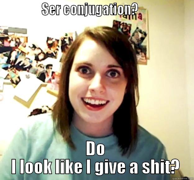              SER CONJUGATION?                    DO I LOOK LIKE I GIVE A SHIT? Overly Attached Girlfriend