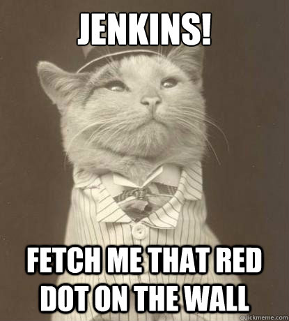 Jenkins! Fetch me that red dot on the wall - Jenkins! Fetch me that red dot on the wall  Aristocat