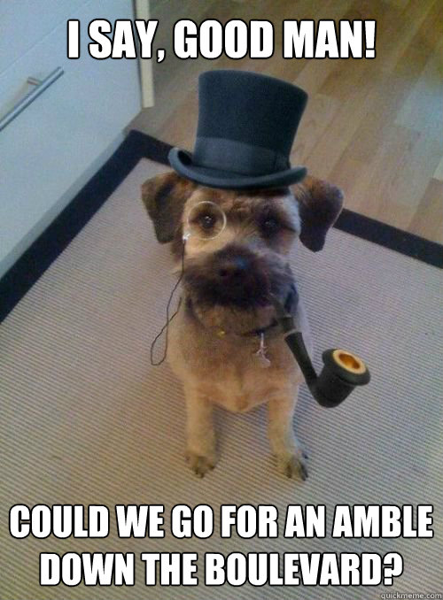 I SAY, GOOD MAN! COULD WE GO FOR AN AMBLE
DOWN THE BOULEVARD?  Gentleman Dog
