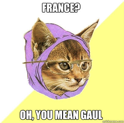 France? Oh, you mean gaul  Hipster Kitty