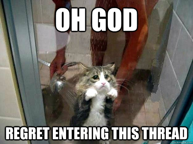 oh god regret entering this thread  Shower kitty