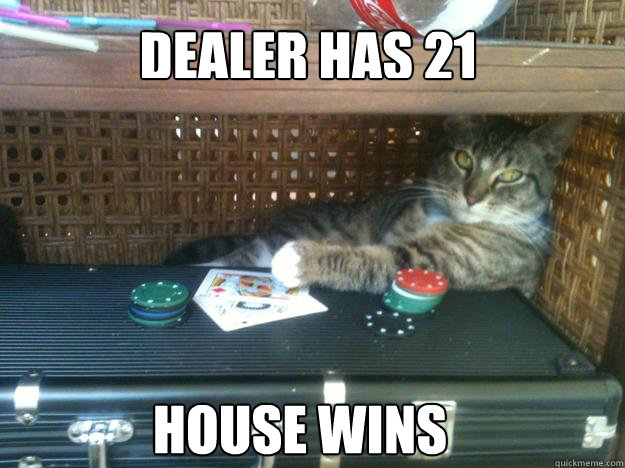 dealer has 21 house wins - dealer has 21 house wins  Blackjack Cat