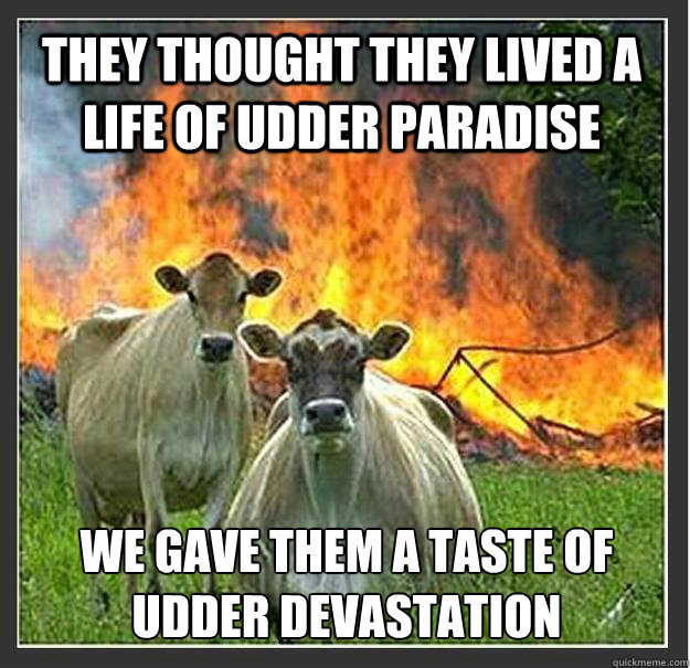 They thought they lived a life of udder paradise We gave them a taste of udder devastation  Evil cows