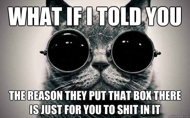 What if i told you The reason they put that box there is just for you to shit in it  Morpheus Cat Facts