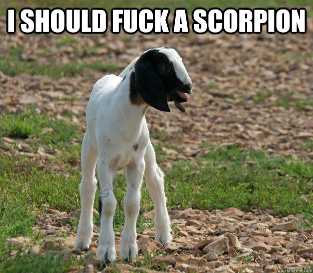 I should fuck a scorpion  Baby Goat