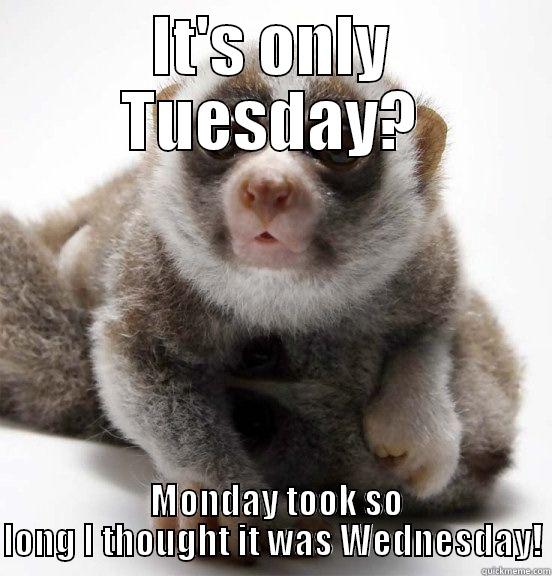 It's only Tuesday? - IT'S ONLY TUESDAY?  MONDAY TOOK SO LONG I THOUGHT IT WAS WEDNESDAY! Misc