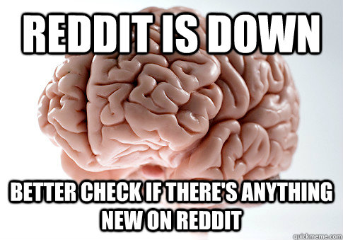 Reddit is down better check if there's anything new on Reddit   ScumbagBrain