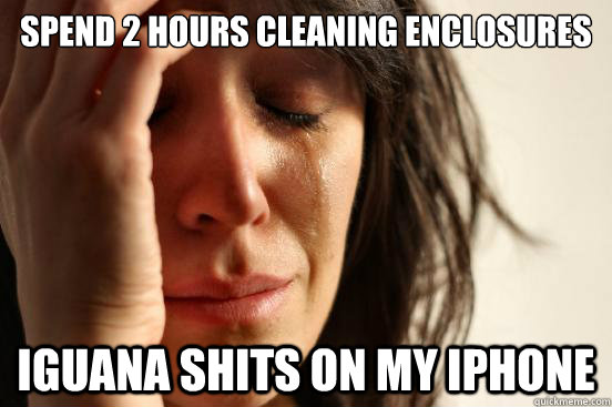 Spend 2 hours cleaning enclosures Iguana shits on my iphone  First World Problems