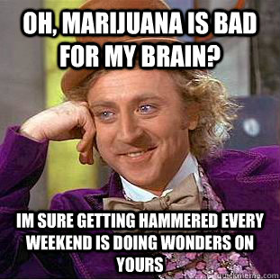 Oh, marijuana is bad for my brain? Im sure getting hammered every weekend is doing wonders on yours - Oh, marijuana is bad for my brain? Im sure getting hammered every weekend is doing wonders on yours  Condescending Wonka