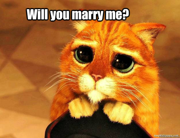 Will you marry me? - Will you marry me?  Will you marry me