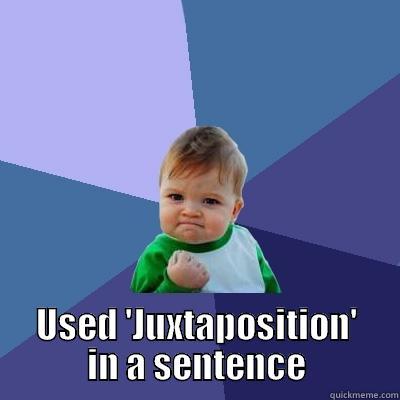  USED 'JUXTAPOSITION' IN A SENTENCE Success Kid
