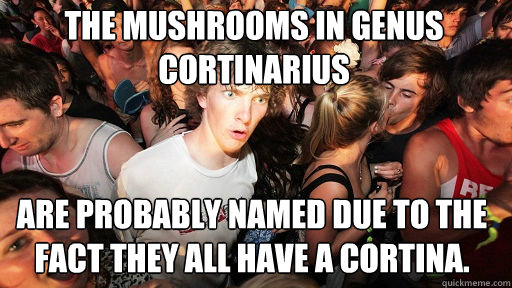 The mushrooms in genus Cortinarius 
 are probably named due to the fact they all have a Cortina.  Sudden Clarity Clarence