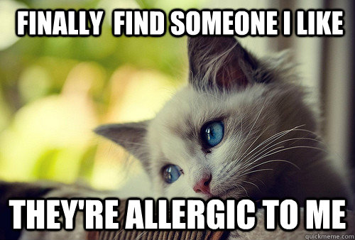  Finally  find someone I like  they're allergic to me  First World Problems Cat