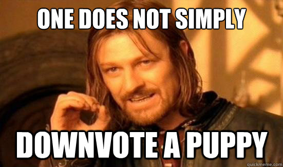 One Does Not Simply downvote a puppy - One Does Not Simply downvote a puppy  Boromir