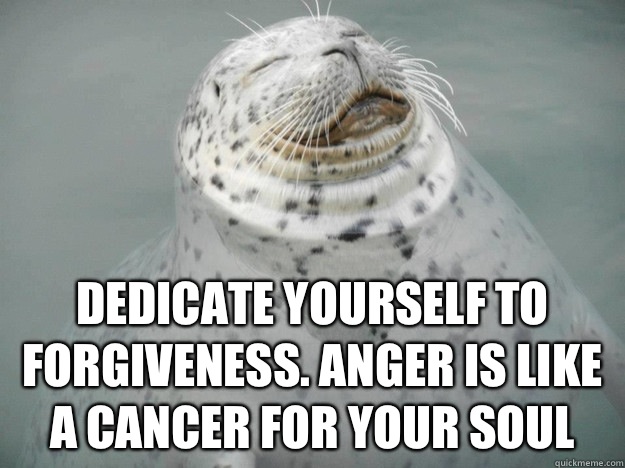 Dedicate yourself to forgiveness. Anger is like a cancer for your soul  Zen Seal