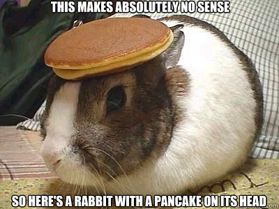 This makes absolutely no sense So here's a rabbit with a pancake on its head  Pancake Rabbit