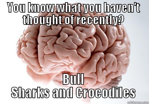 YOU KNOW WHAT YOU HAVEN'T THOUGHT OF RECENTLY? BULL SHARKS AND CROCODILES Scumbag Brain