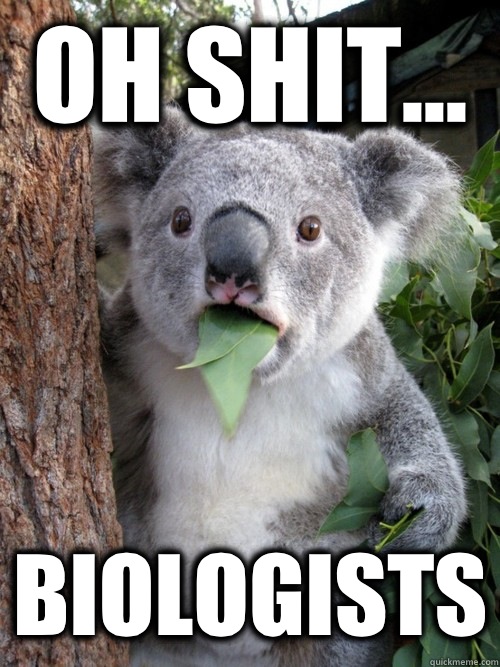 Oh shit... Biologists  Surprised Koala