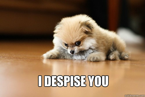 I despise you - I despise you  Angry Puppy
