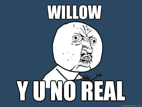 Willow y u no real  Y U No